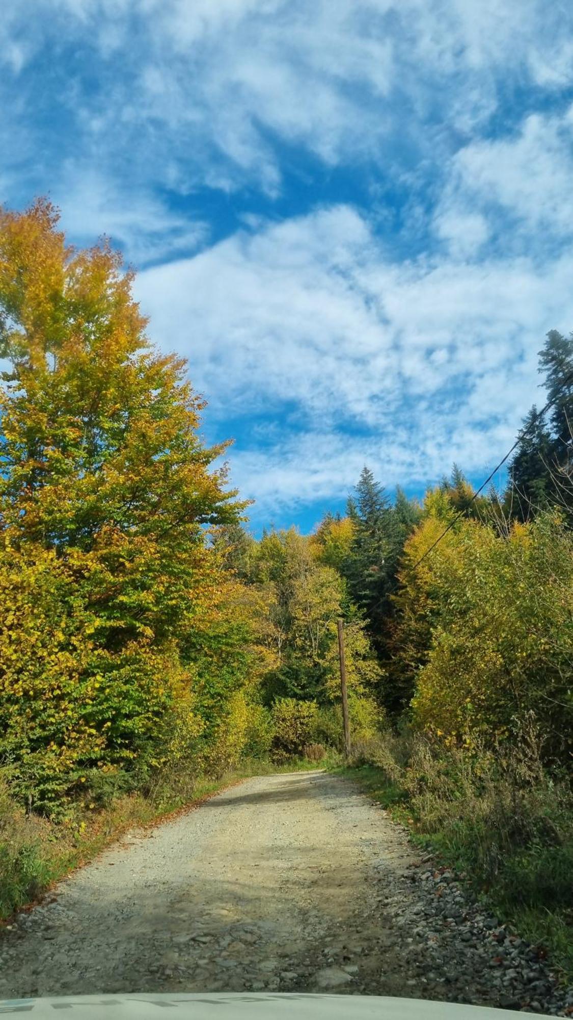 Piricske Pihenőház Csíkcsicsó Kültér fotó